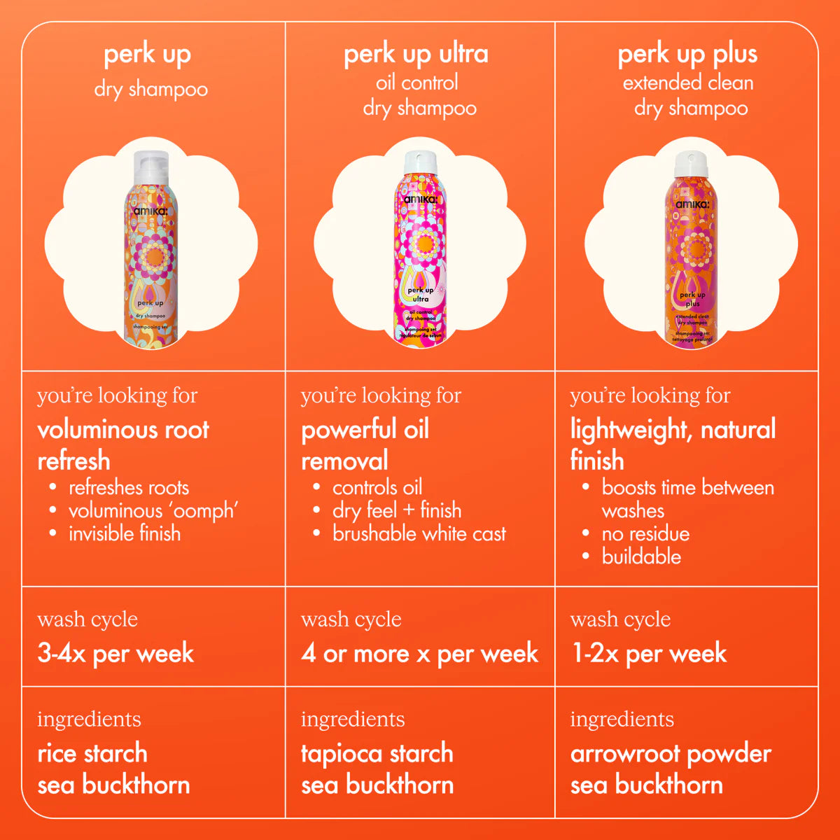 Perk Up Ultra Oil Control Dry Shampoo