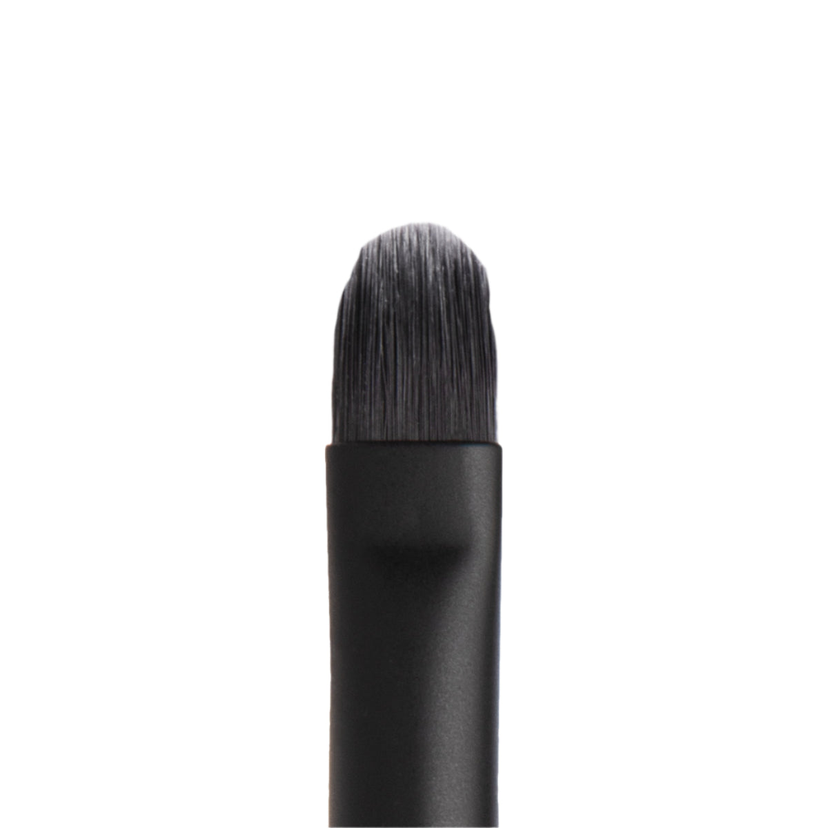 Lip Brush
