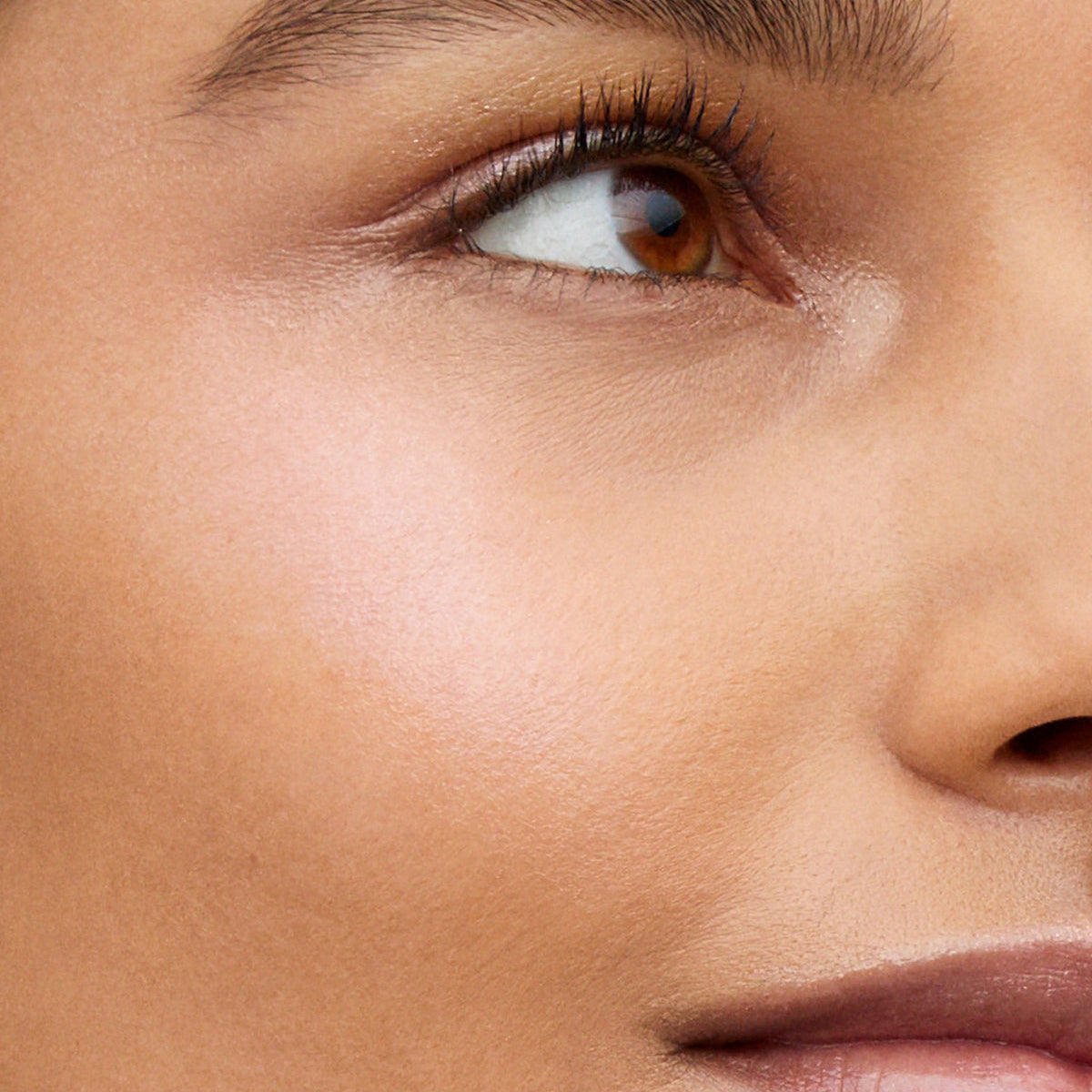Lit Up Highlight Stick