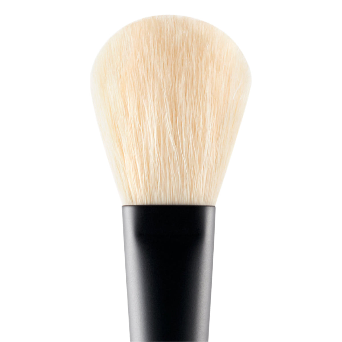 Powder Brush
