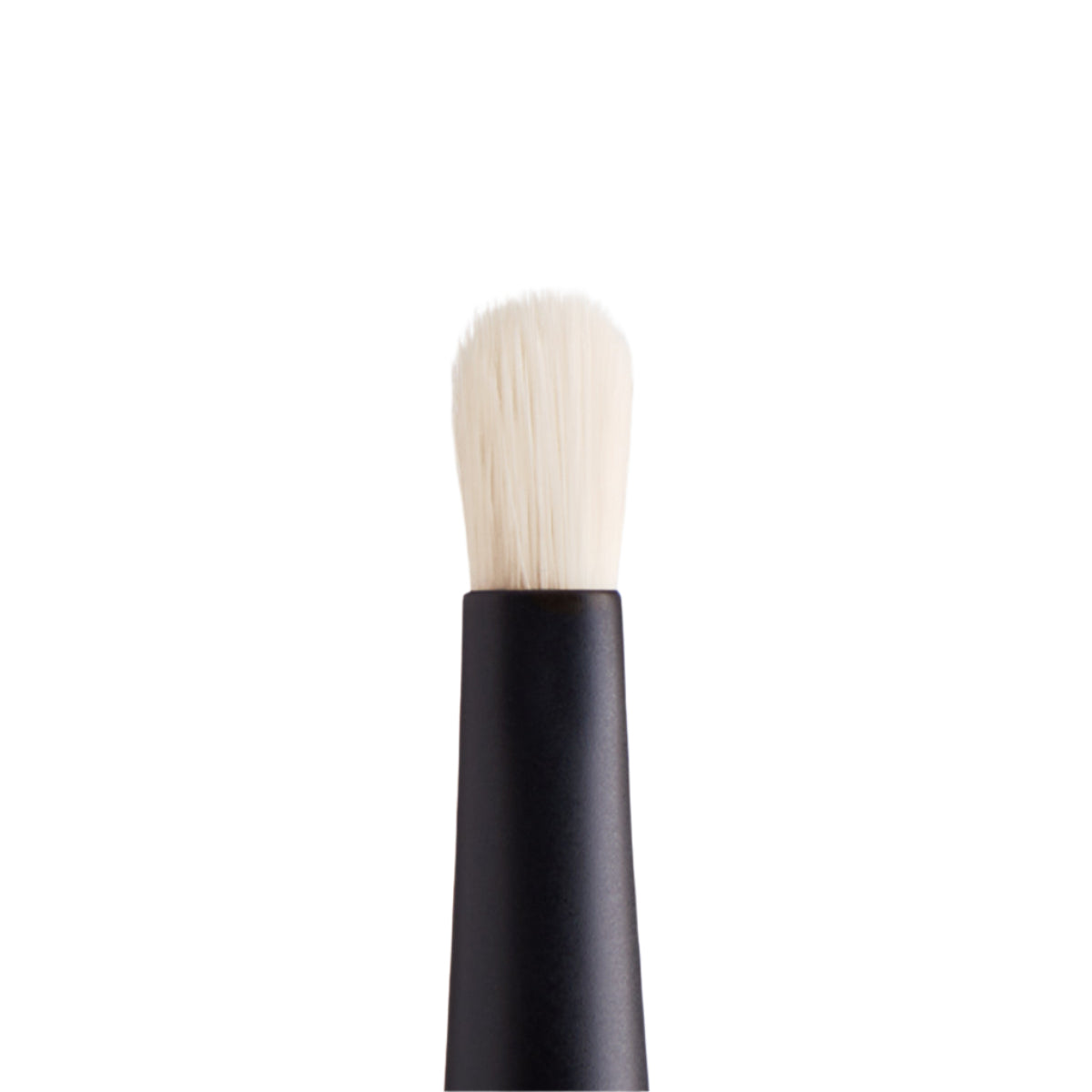 Spot Check Brush