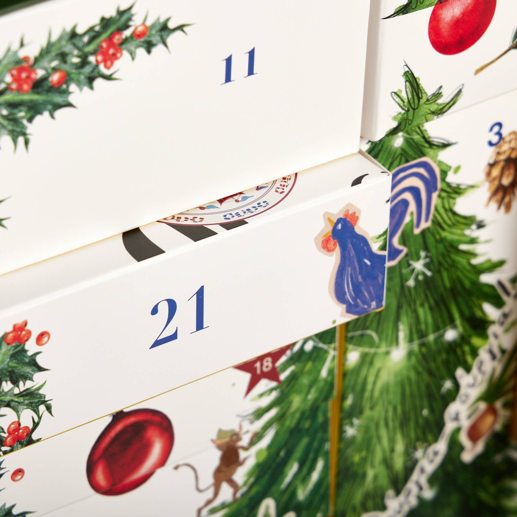 Advent Calendar 2025 | $428 Value