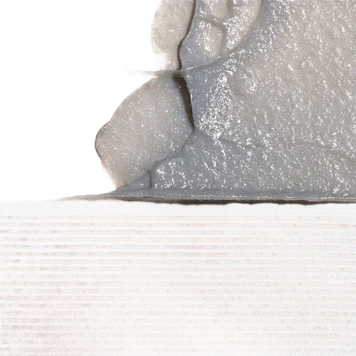 Scalp Revival Charcoal + Coconut Oil Micro-Exfoliating Shampoo