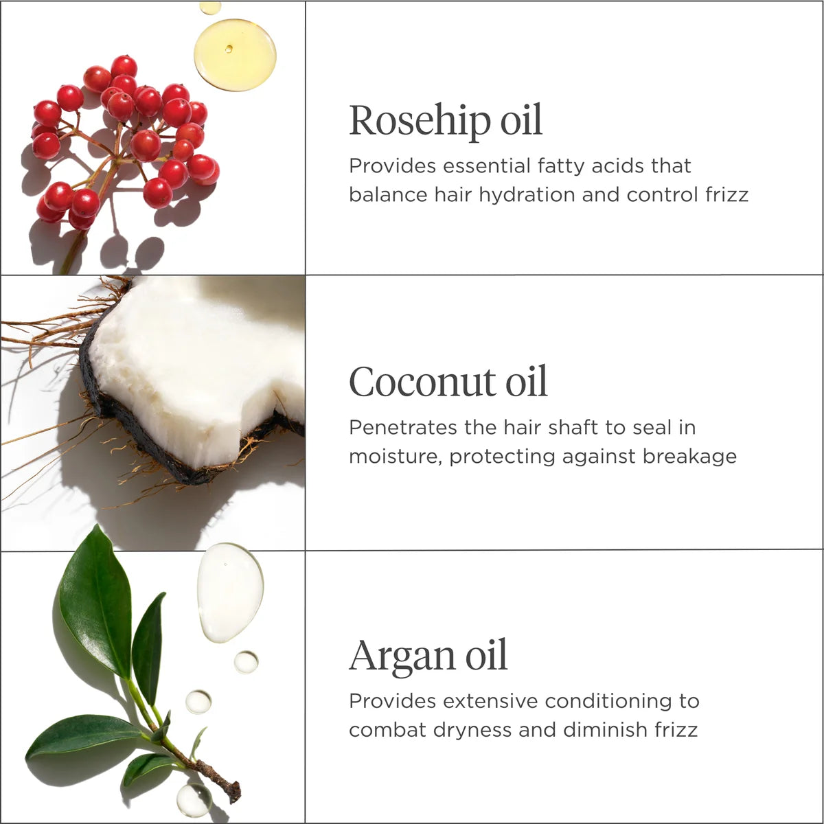 Farewell Frizz Rosehip Hair Oil