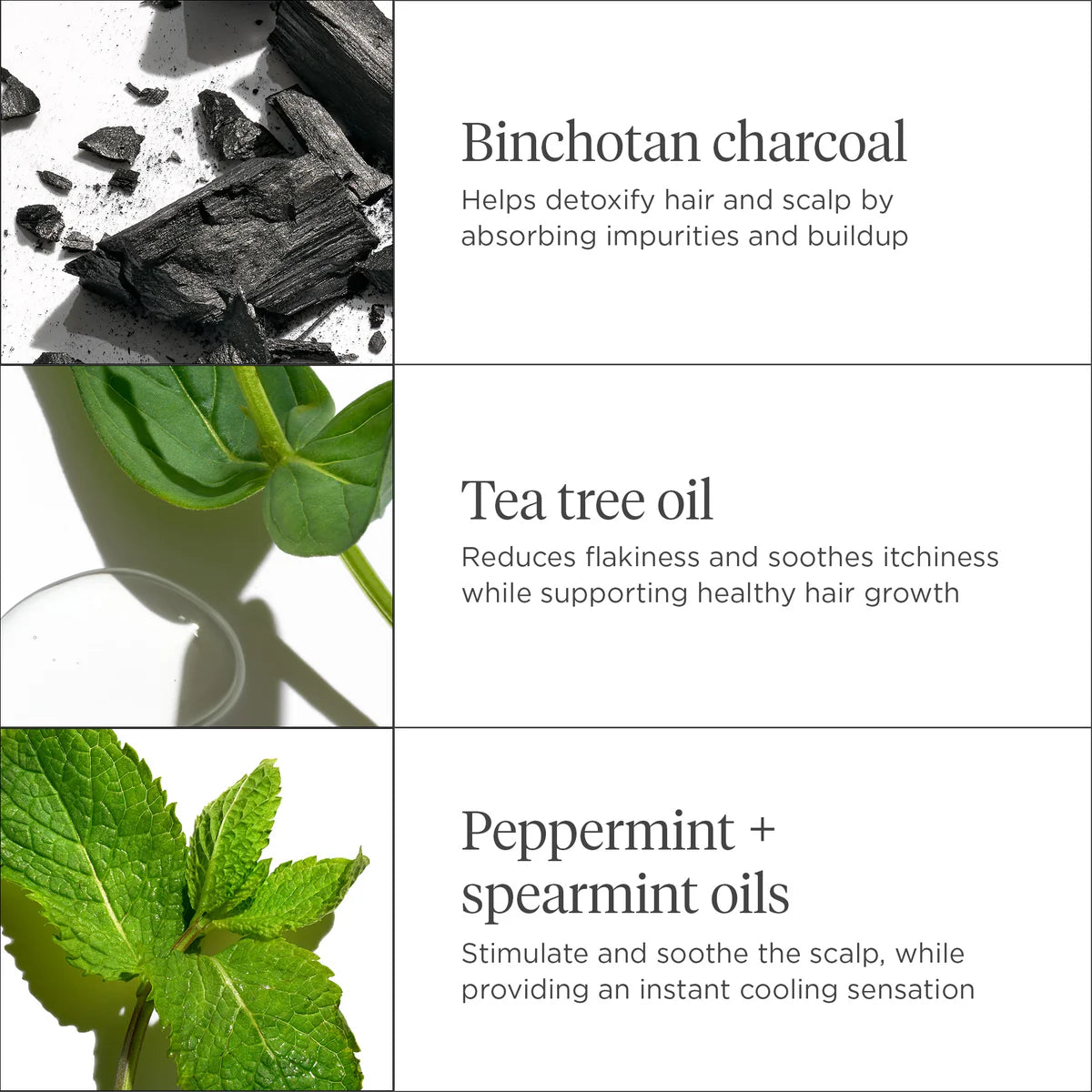 Scalp Revival Charcoal + Tea Tree Cooling Hydration Scalp Mask