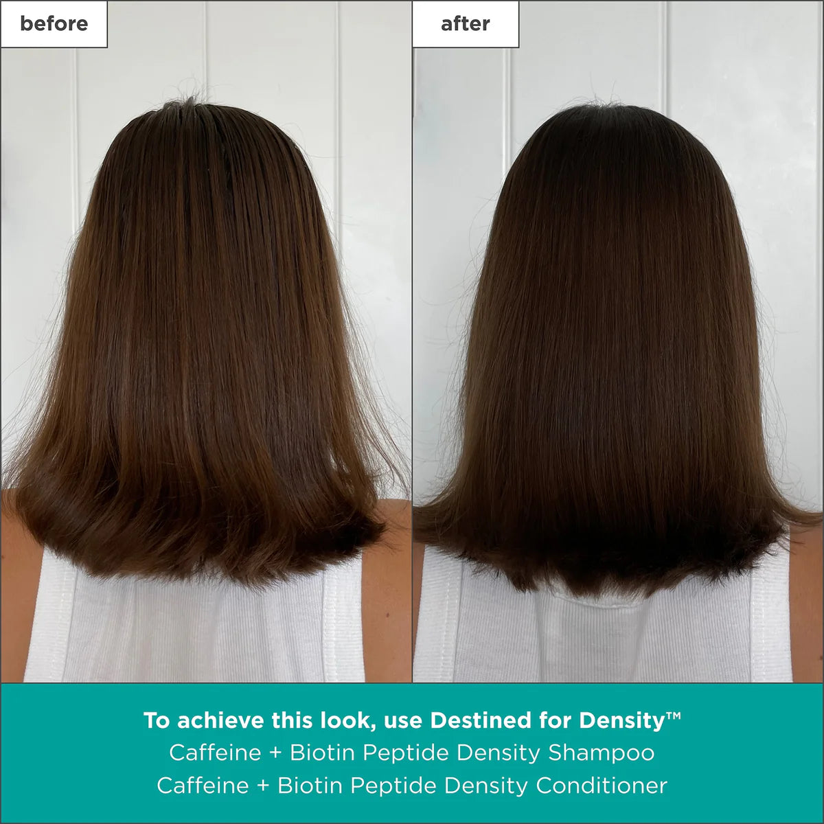 Destined for Density™ Caffeine + Biotin Peptide Density Shampoo