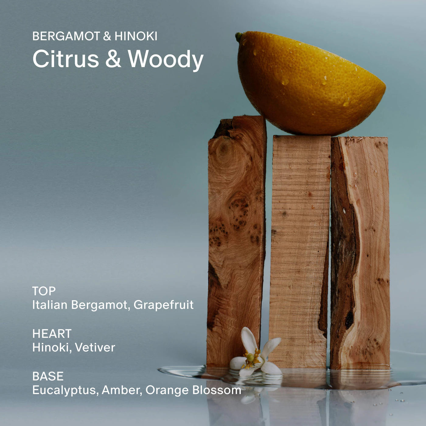 Bergamot & Hinoki Refillable Body Wash with Niacinamide + Probiotic