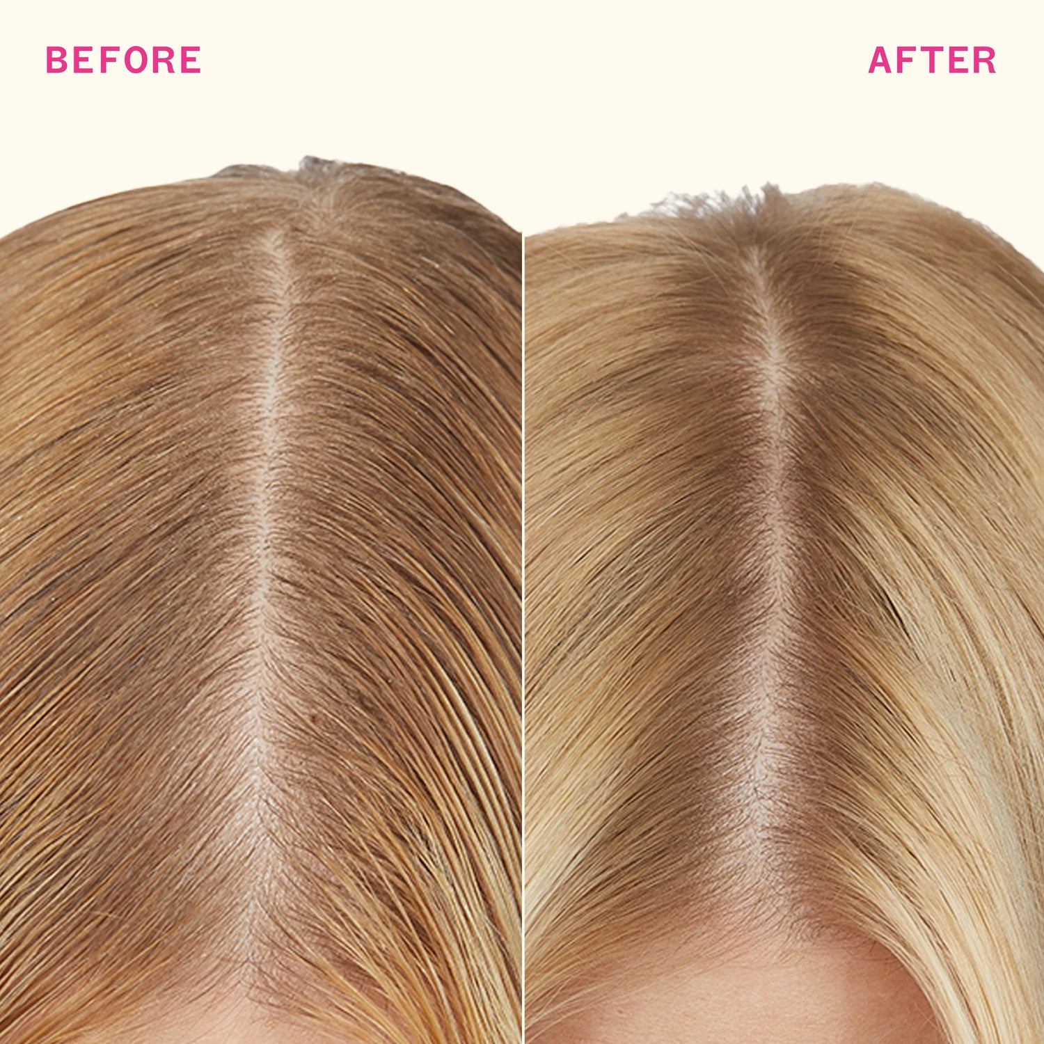 Perk Up Plus Extended Clean Dry Shampoo