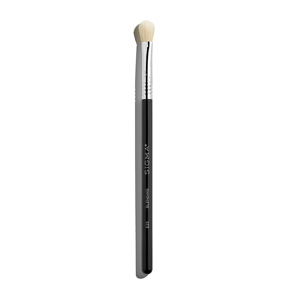E25 Blending Brush