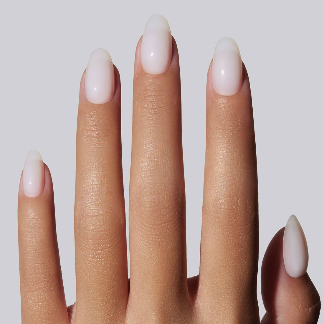 Sheer Milk (Short Round)