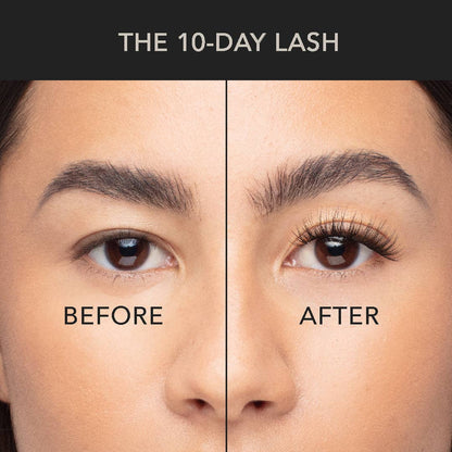 3 Pack Lash Set - Black