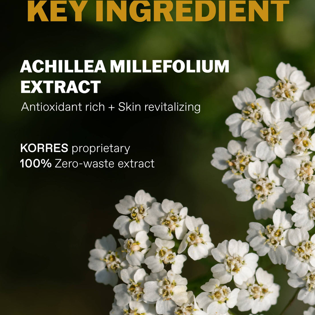 Athenian Grooming Kit for Men ($84 Value)