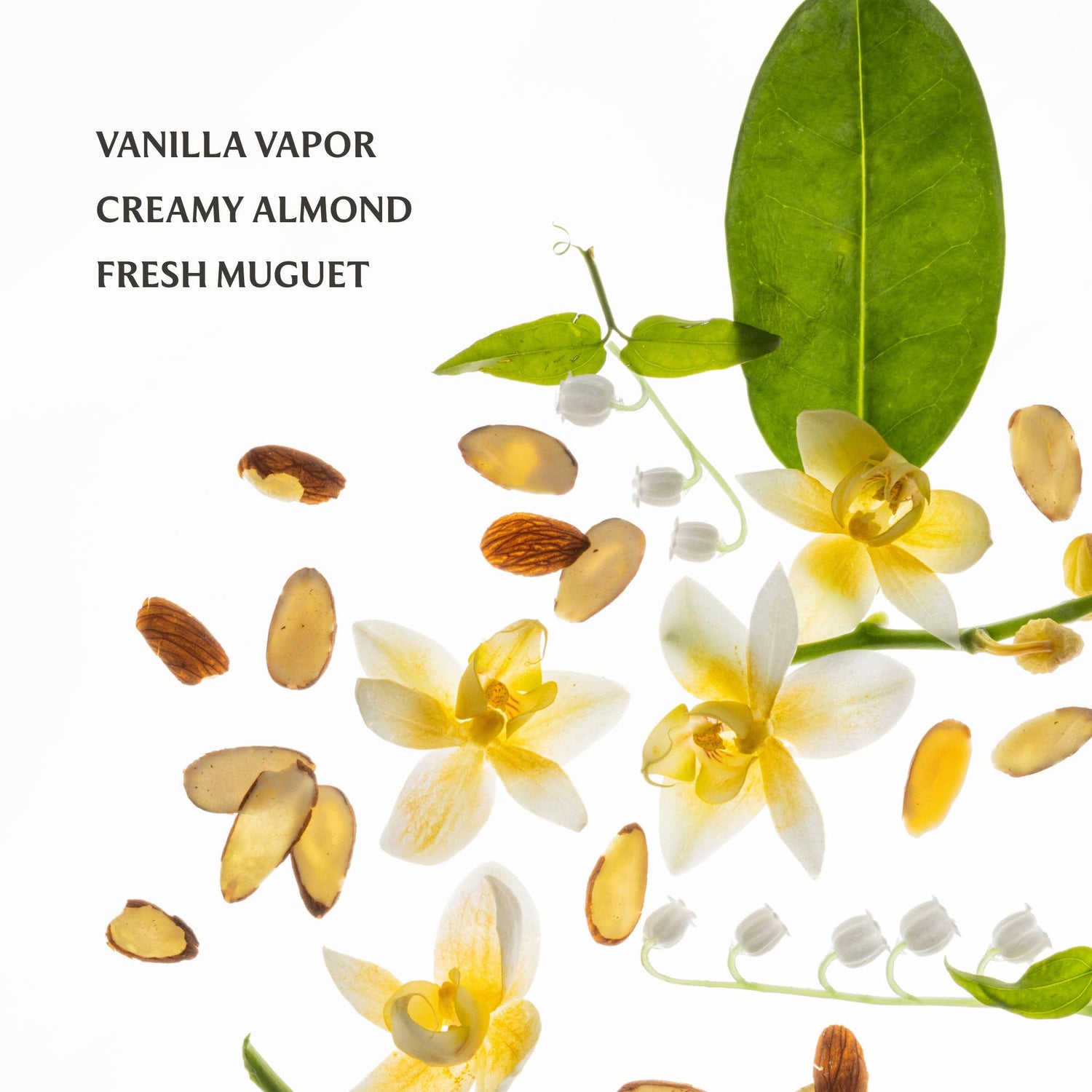 Vanilla Velvet Power Essence Body &amp; Hair Fragrance Mist