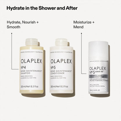 Nº.5 Leave-In Moisturize &amp; Mend Leave-In Conditioner