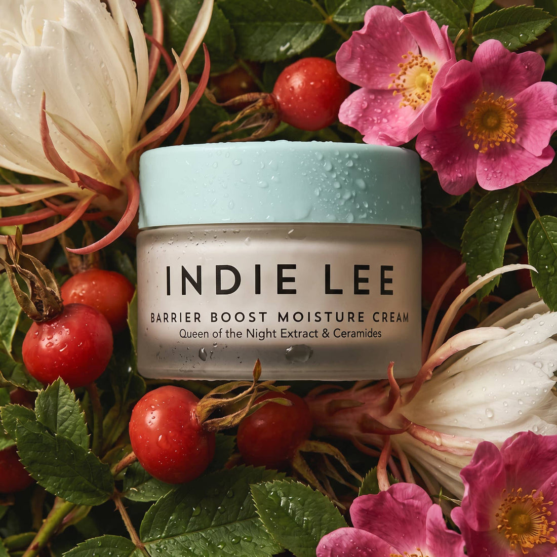 Barrier Boost Moisture Cream