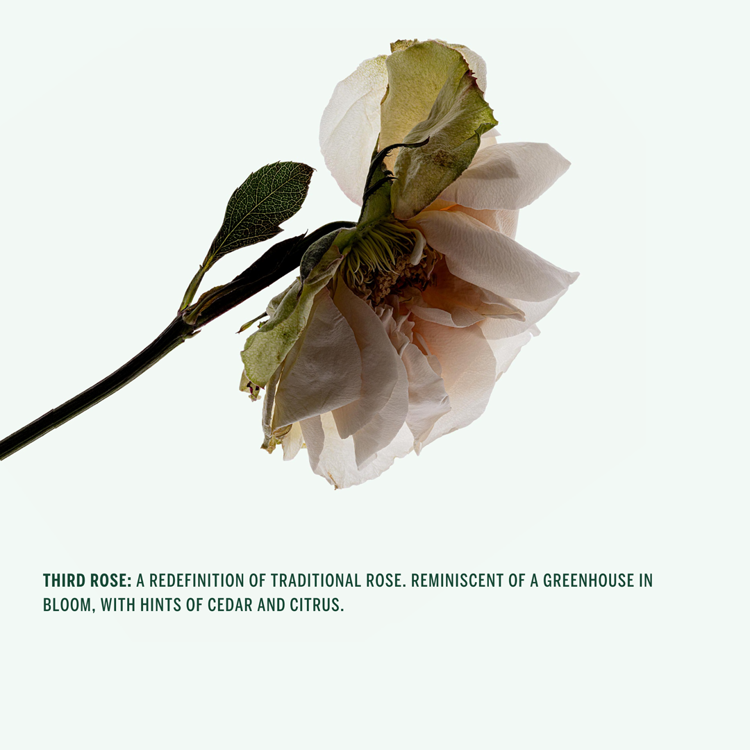 DEODORANT SPRAY: Third Rose - Rose, Italian Mandarin, Violet