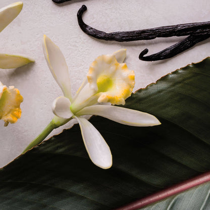 Renewing Body Cleanser Mediterranean Vanilla Blossom
