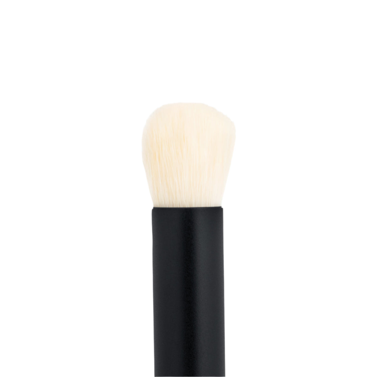 Baby Blender Brush