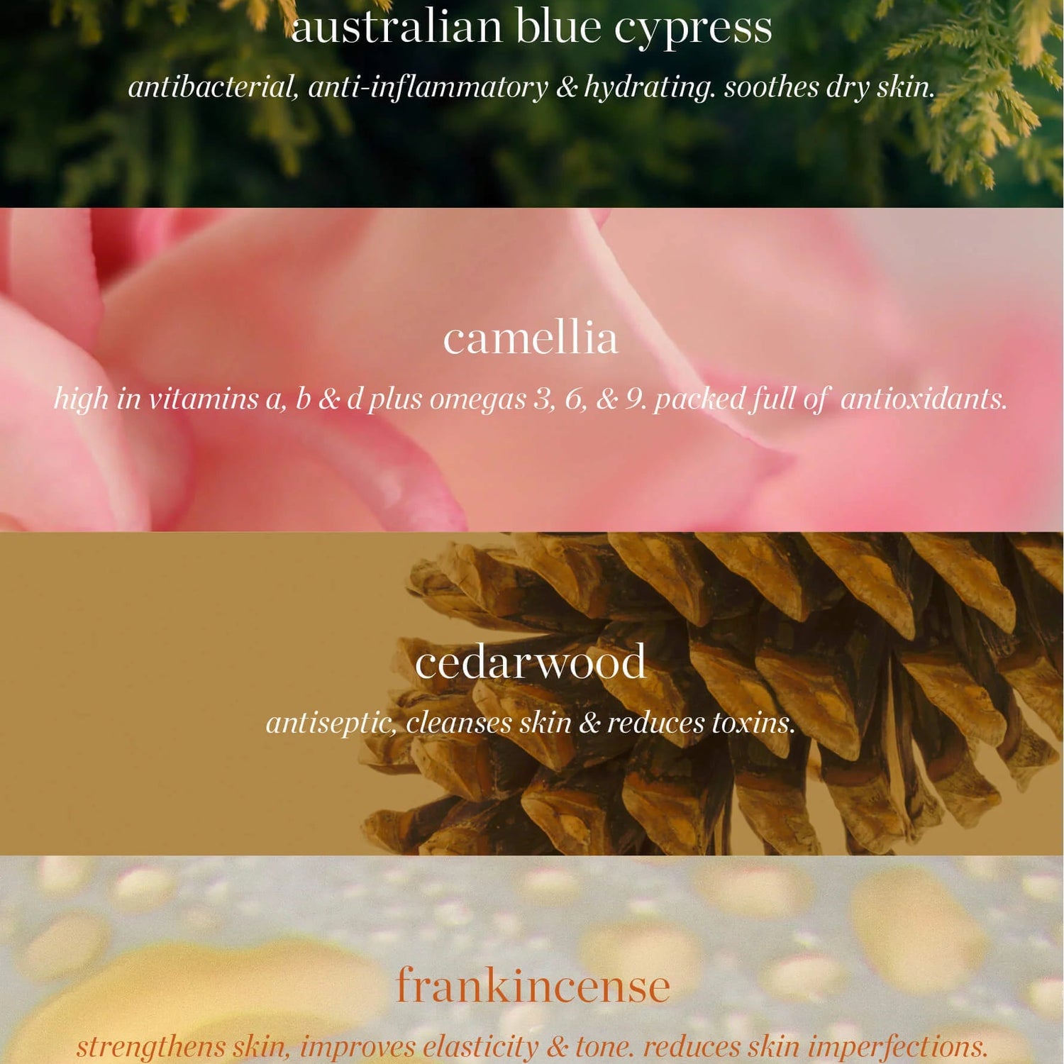 Australian Blue Cypress Face Nectar