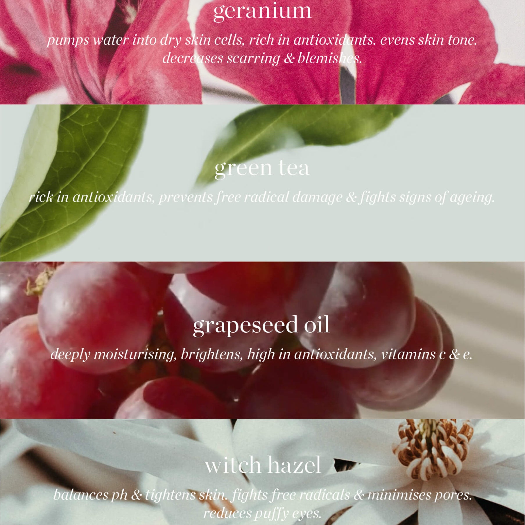 Herbal Face Tonic