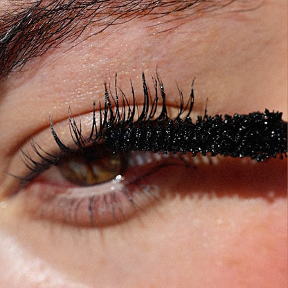 Lash to Lip - Holiday Gift Set