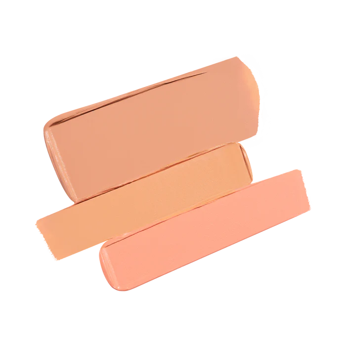 Secret Camouflage Complexion Perfector