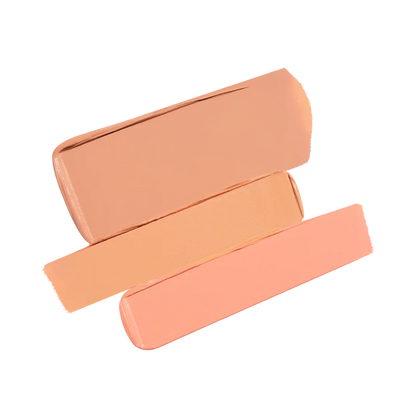 Secret Camouflage Complexion Perfector