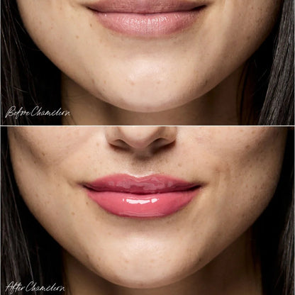 The Mini Lip Oil Trio | $50 VALUE