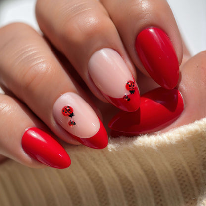 3D Ladybug