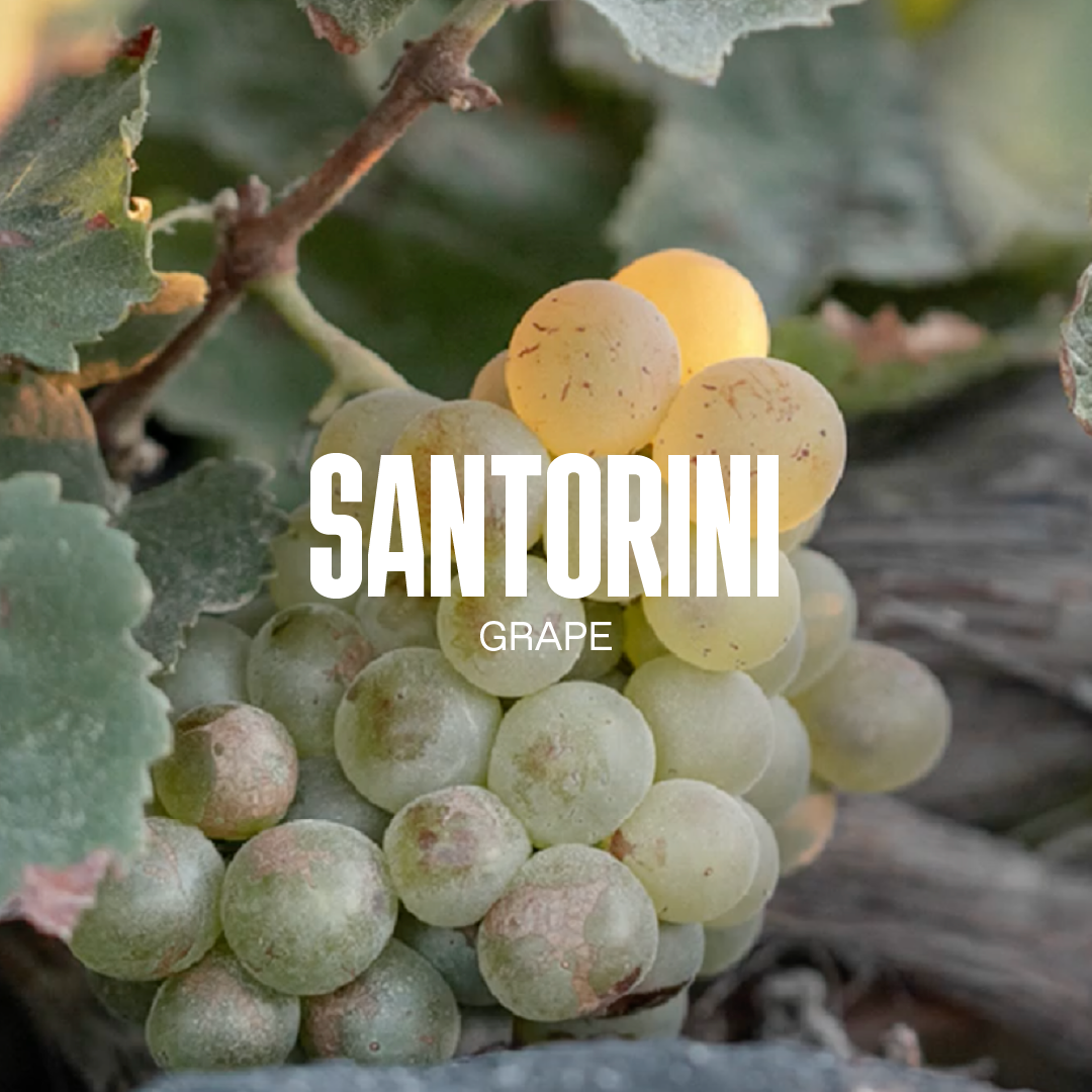 Santorini Grape Velvet Skin Drink