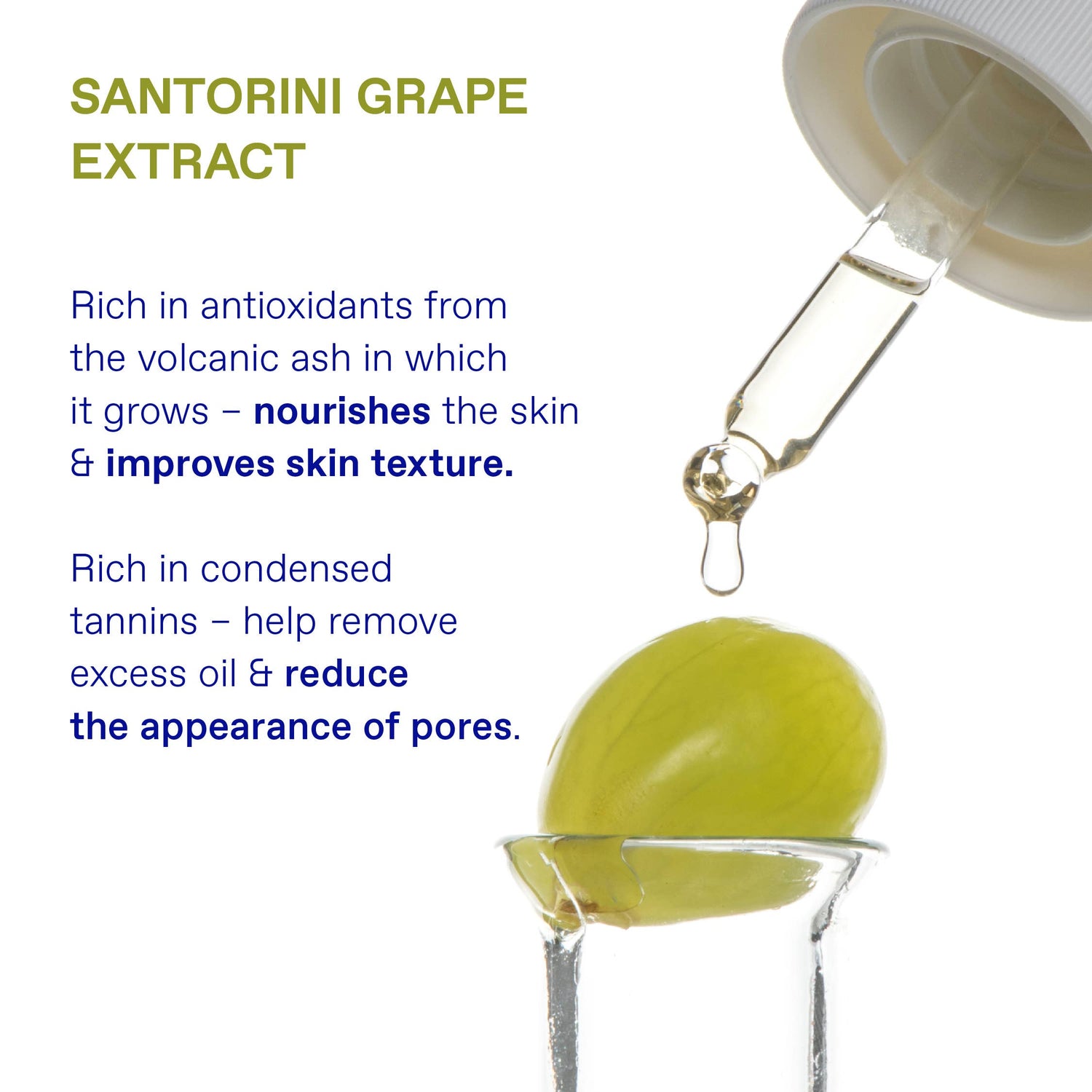Santorini Grape Pores &amp; Texture Perfecting Duo ($94 Value)