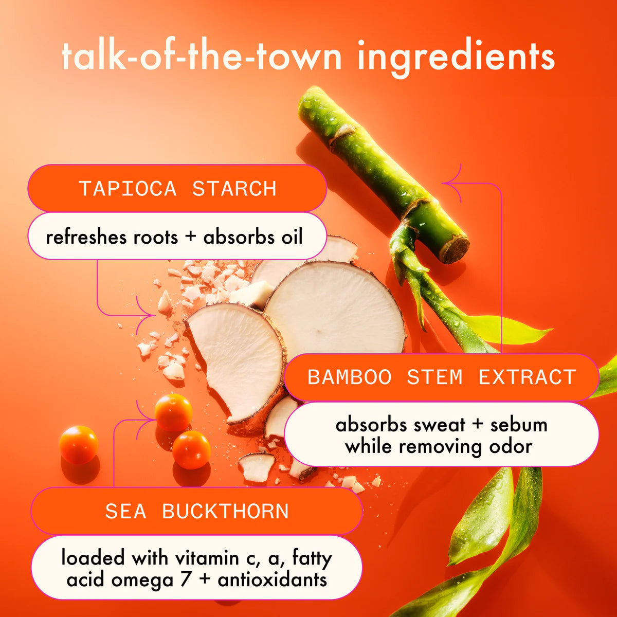 Perk Up Ultra Oil Control Dry Shampoo