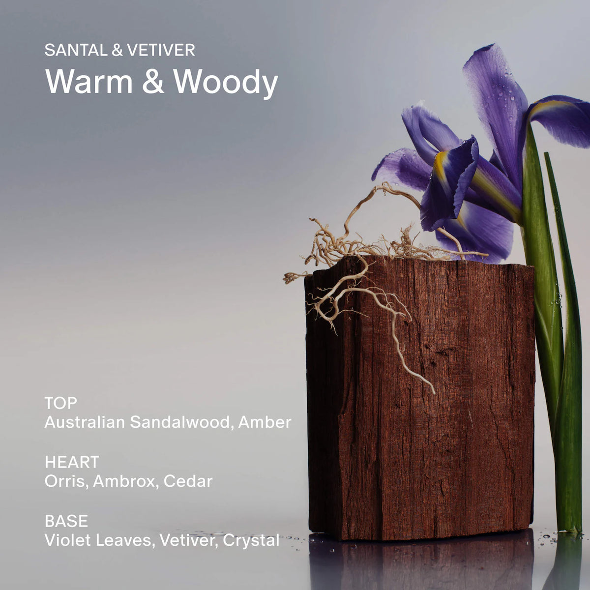 Santal &amp; Vetiver Refillable Body Wash with Niacinamide + Probiotic