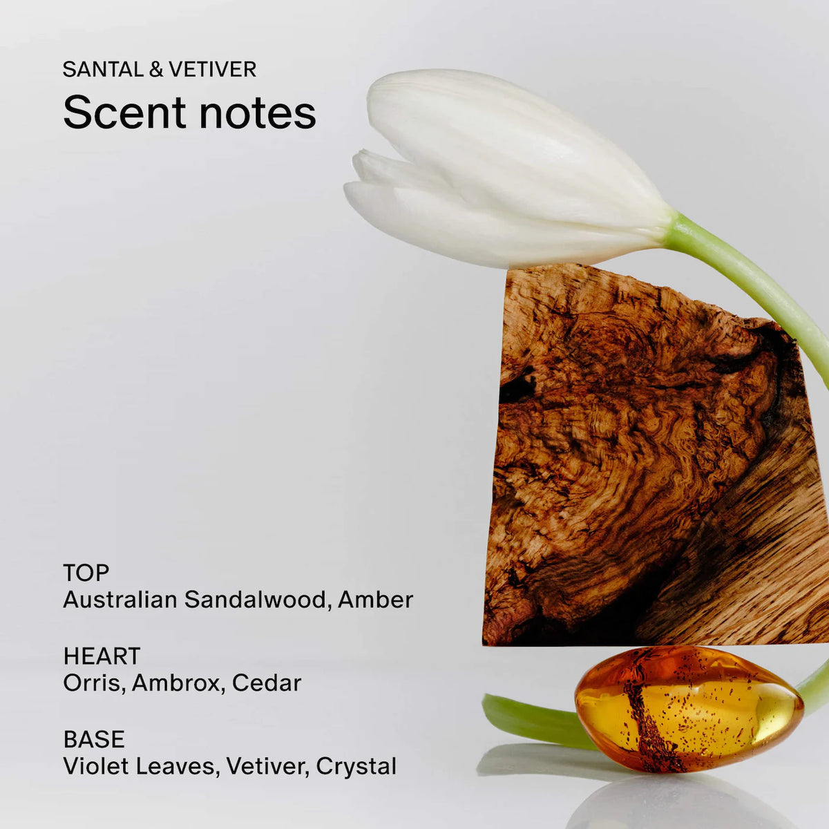 Santal &amp; Vetiver Body Oil